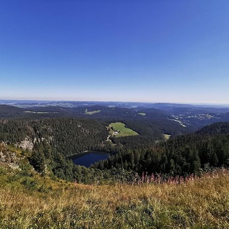 Fewo 1 - Residenz Schauinsland - Mit Sauna, E-Ladestation, Todtnauberg, Bei Feldberg 外观 照片