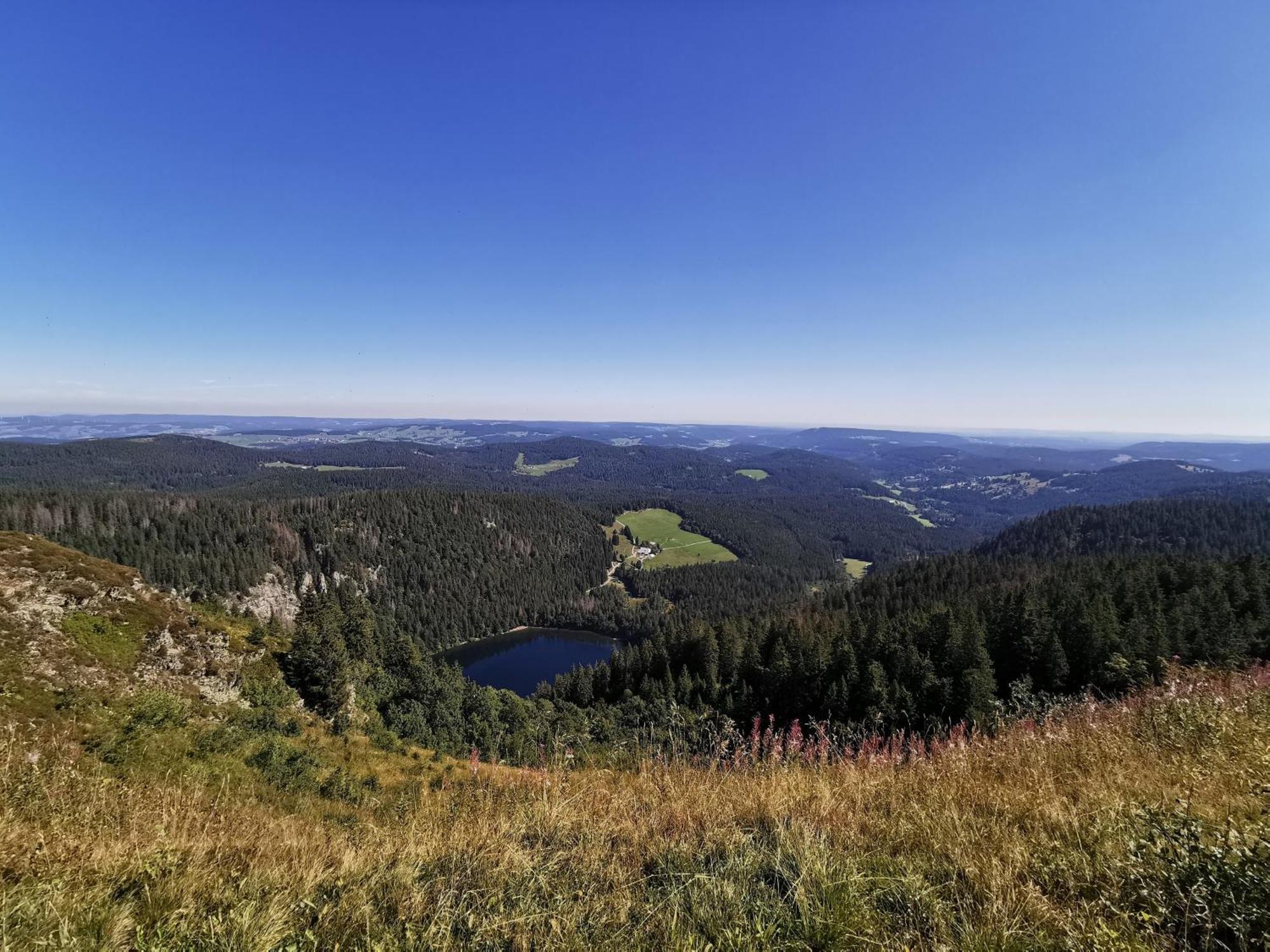Fewo 1 - Residenz Schauinsland - Mit Sauna, E-Ladestation, Todtnauberg, Bei Feldberg 外观 照片