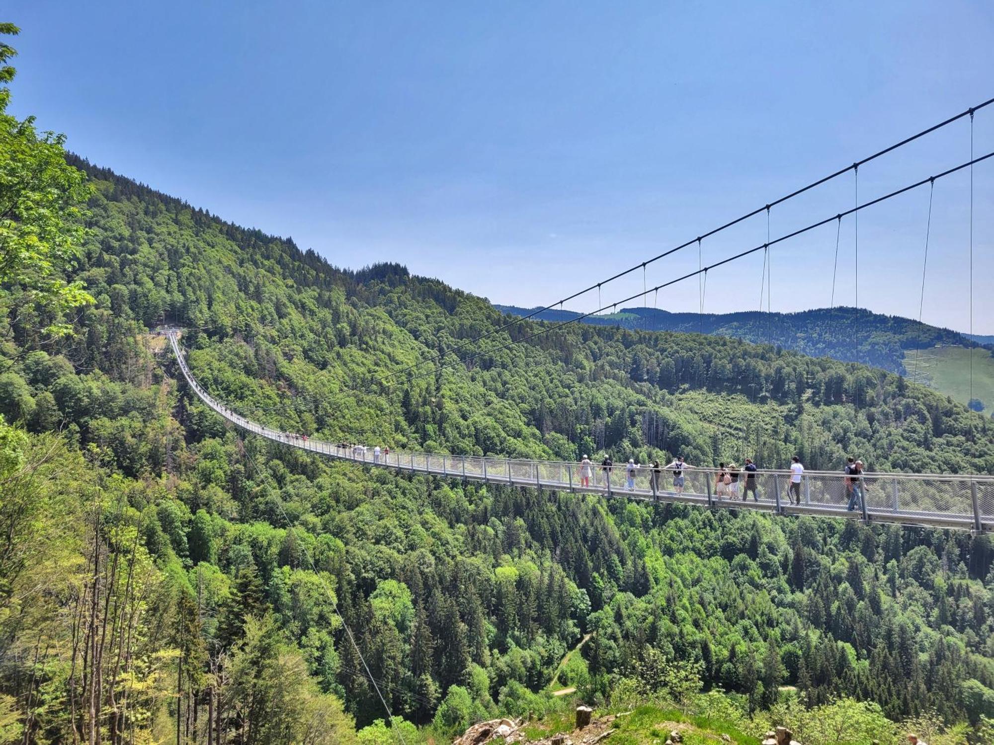 Fewo 1 - Residenz Schauinsland - Mit Sauna, E-Ladestation, Todtnauberg, Bei Feldberg 外观 照片