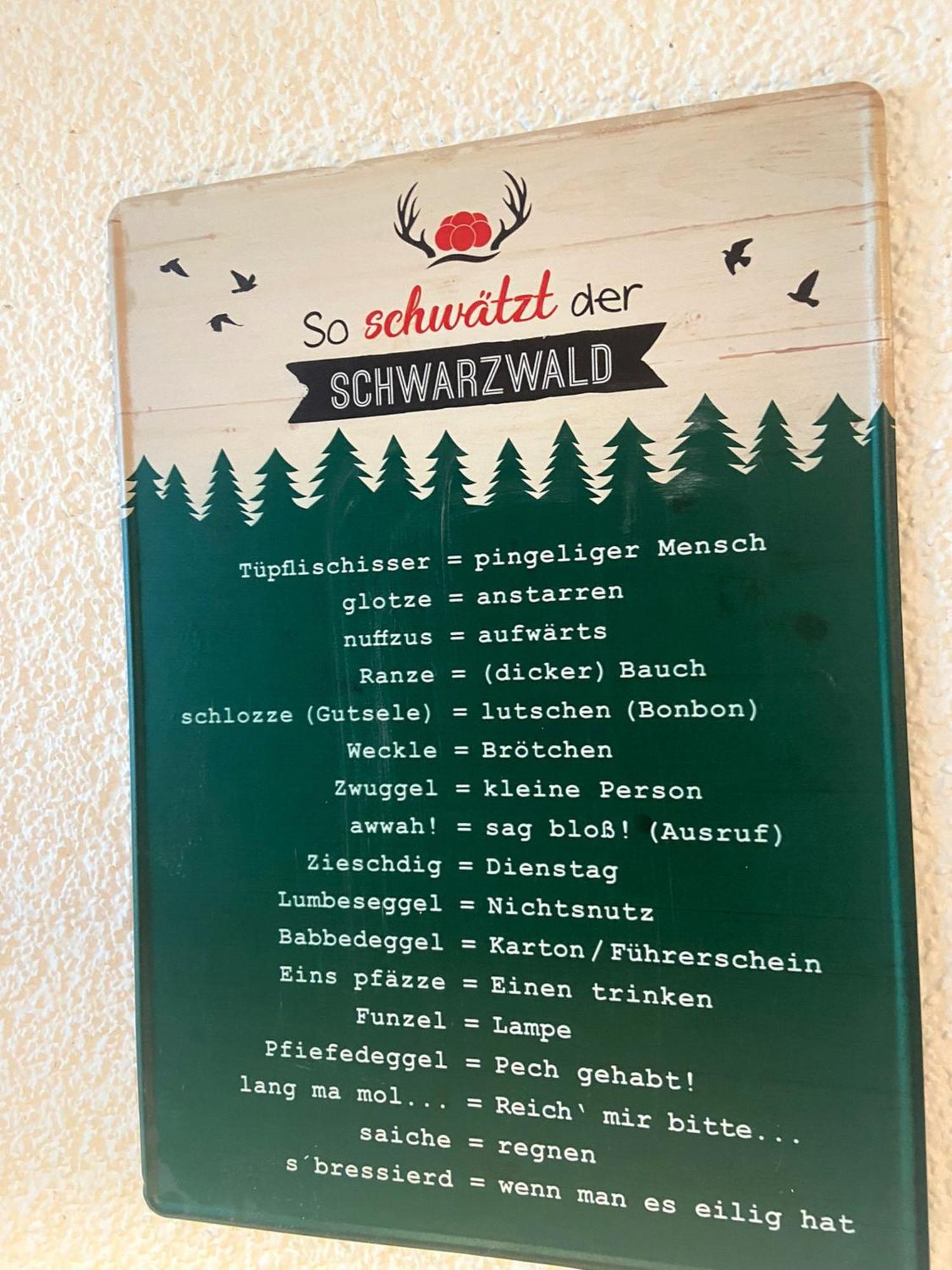 Fewo 1 - Residenz Schauinsland - Mit Sauna, E-Ladestation, Todtnauberg, Bei Feldberg 外观 照片