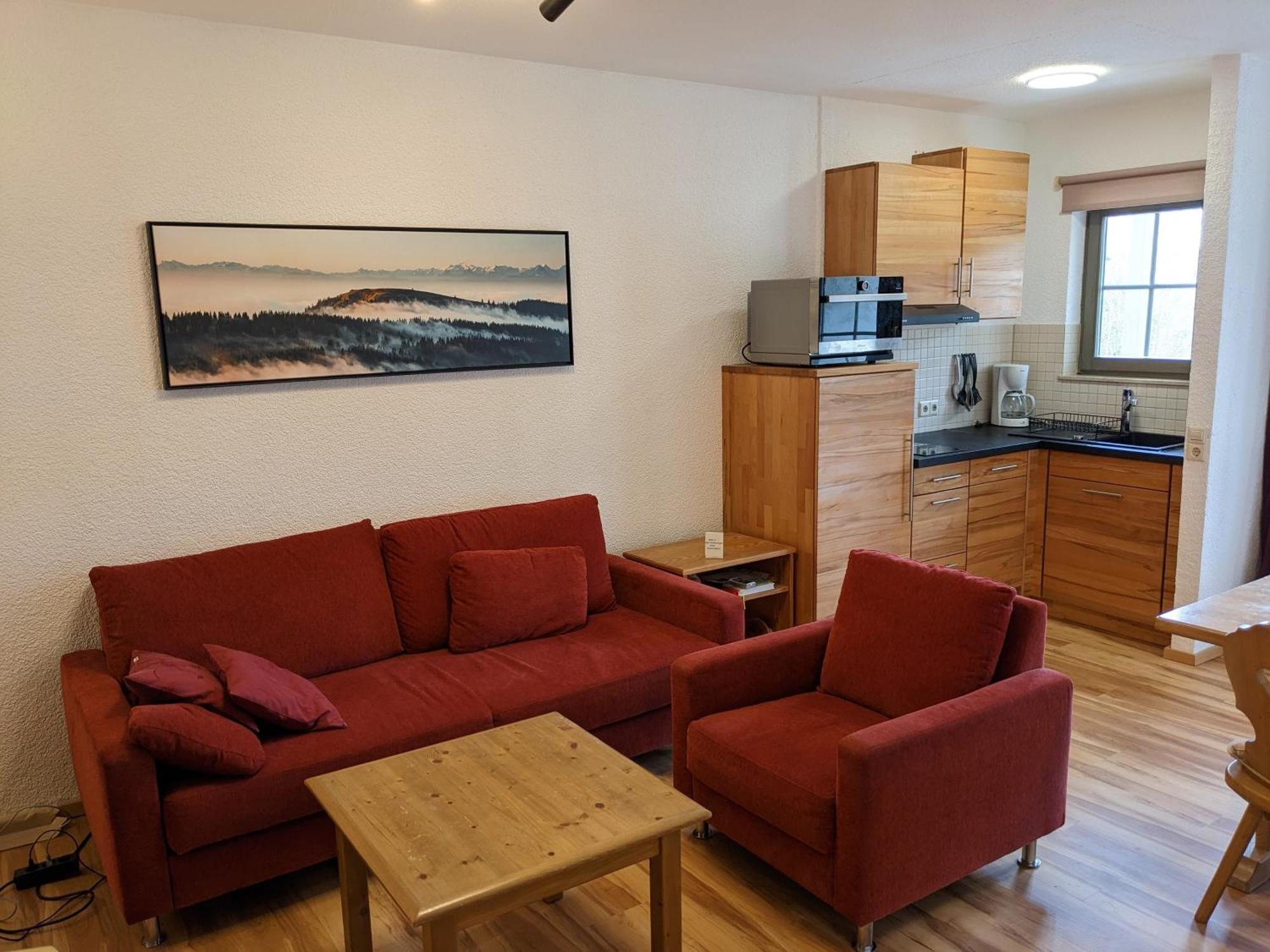 Fewo 1 - Residenz Schauinsland - Mit Sauna, E-Ladestation, Todtnauberg, Bei Feldberg 外观 照片